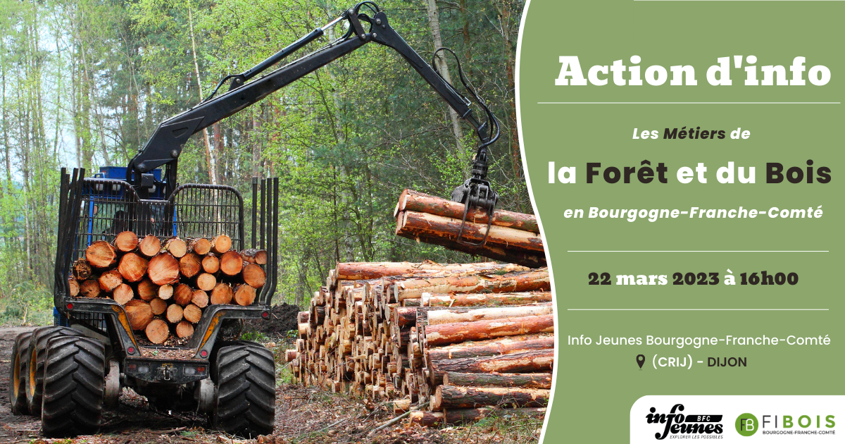 S’informer sur les métiers de la filière forêt-bois